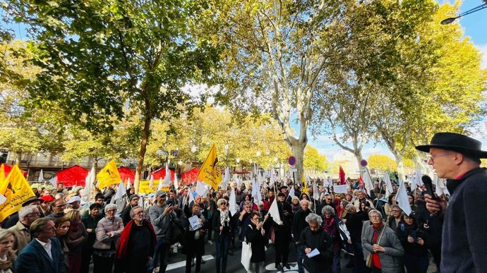 Plusieurs manifestations locales ont eu lieu depuis le début de la gestion de la crise liée à la dermatose nodulaire contagieuse, regroupant éleveurs, syndicats et civils. Ici à la préfecture de Perpignan, le 10 novembre. Les manifestants dénoncent principalement l'abattage total des cheptels.
